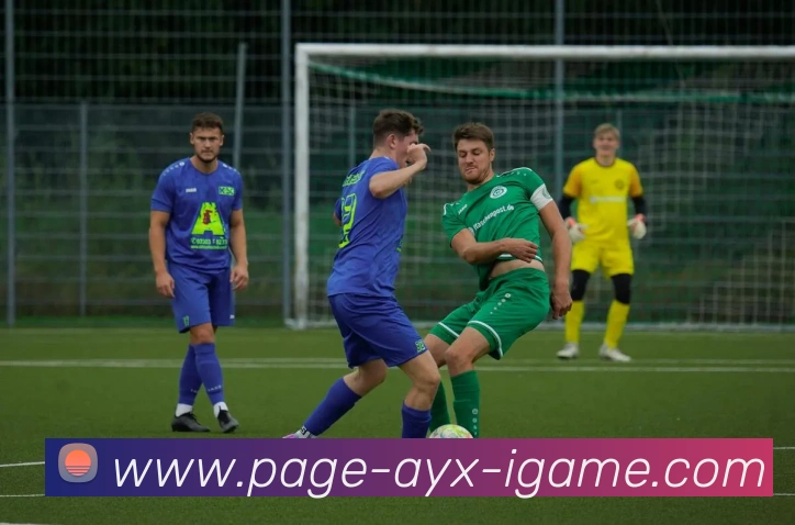 爱游戏服务体系